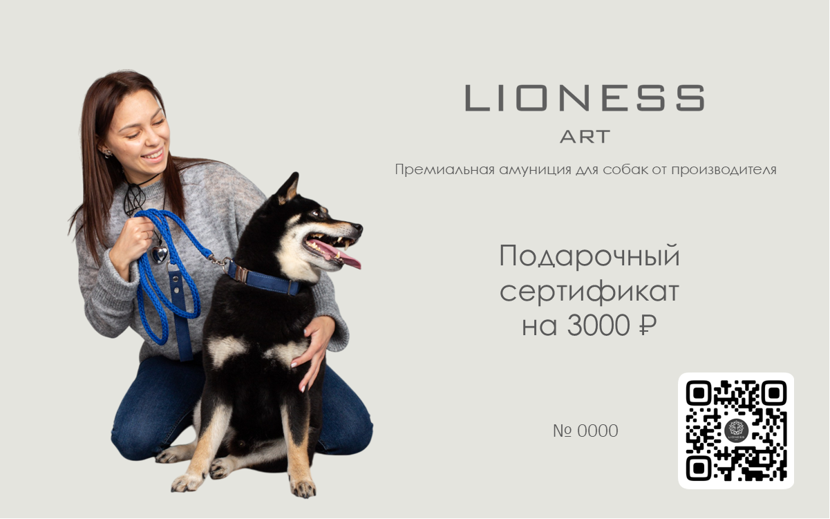 Подарочный сертификат Lioness